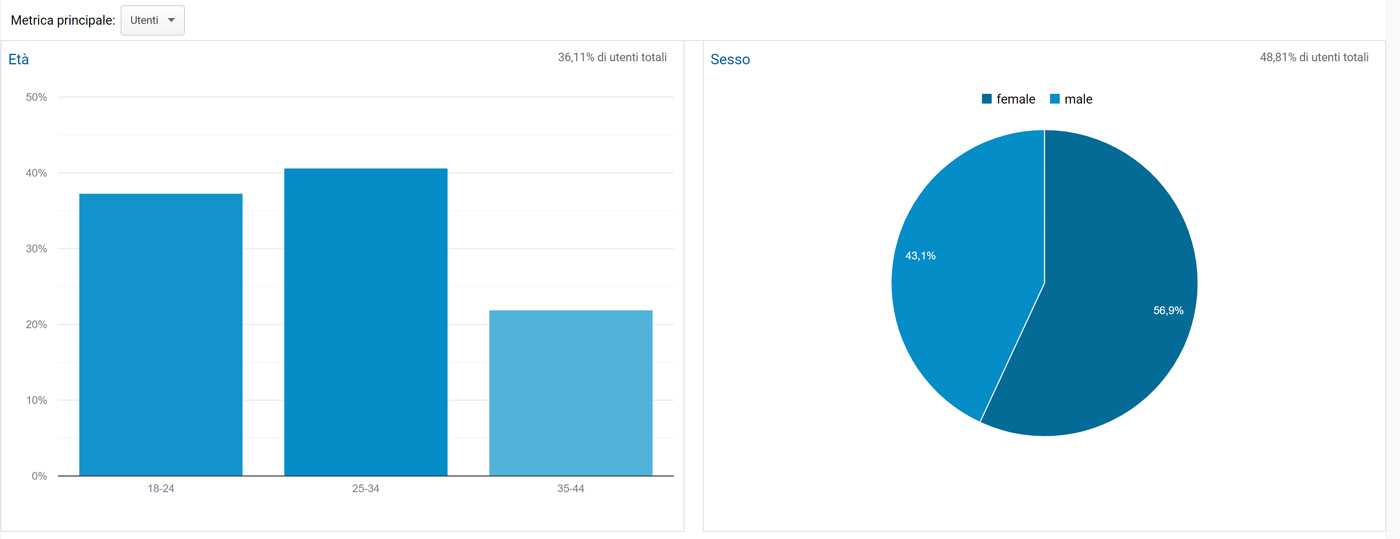 Pubblico/Dati demografici/Panoramica Google Analytics