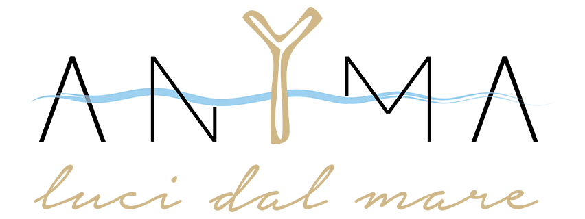 Logo Anyma Design
