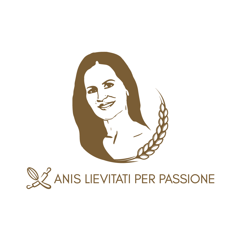 Logo Villa Anis