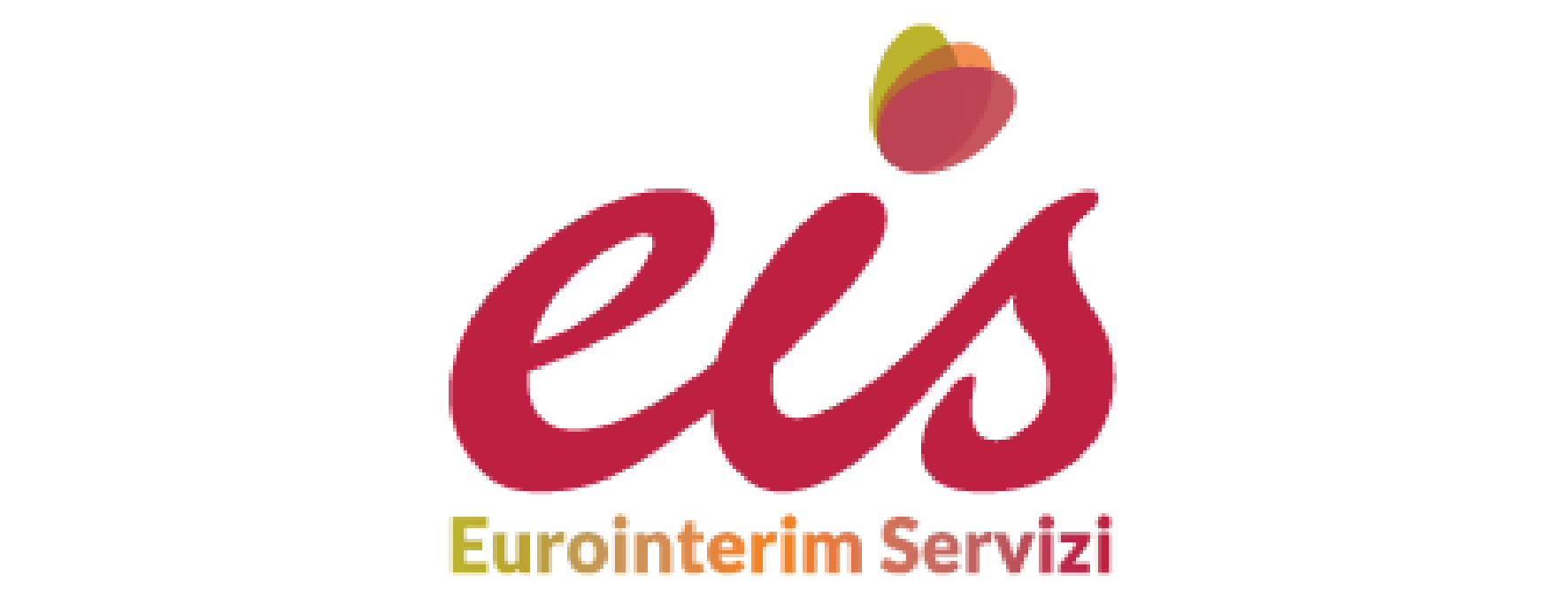 logo eis