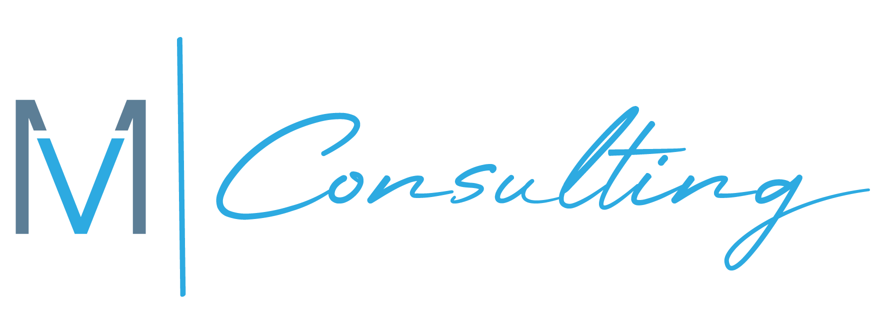 MV Consulting