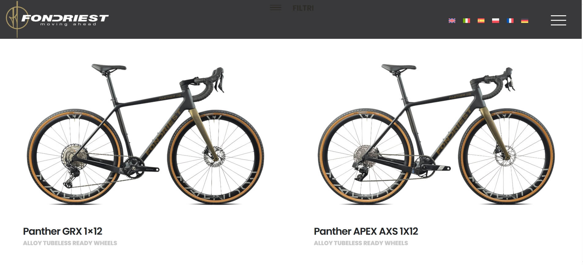 testata - portfolio - fondriest