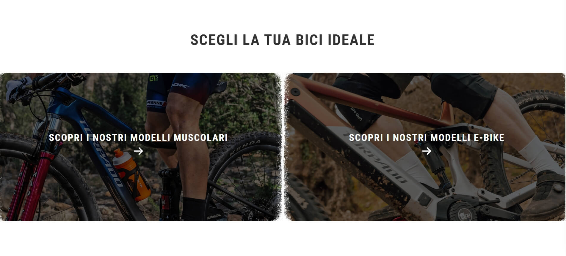 testata - portfolio - torpado